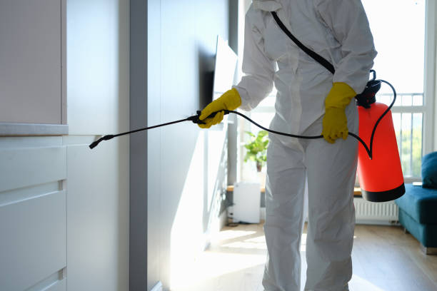 Trusted Ann Arbor, MI Mold Removal Experts